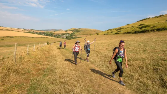 Hikers walk through hilly fields on a bright day.