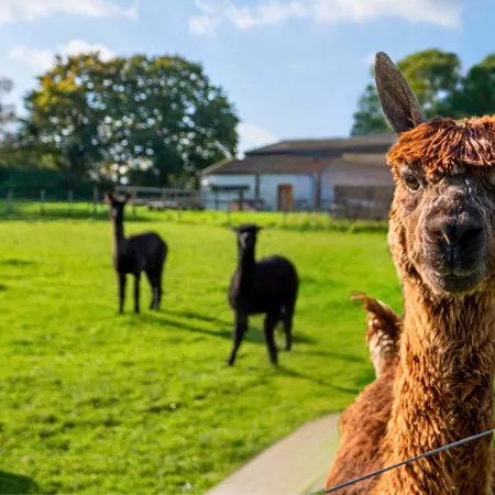 Our vocational learning areas